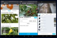 萤石“云端农场解决方案”助力瓜农直播卖瓜 解决滞销难题
