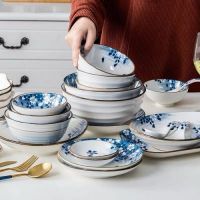 让眼睛也饱餐一顿的天晟威TSW日式餐具 每一件都想拥有！