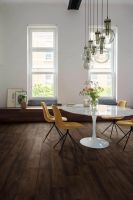 宅家太久想焕新 得高直播品质购“厚惠有期”