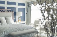 蓝水园·蓝之谜