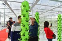 科技助阵农业种植，联塑休闲农业用实力宠居民