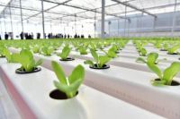 科技助阵农业种植，联塑休闲农业用实力宠居民