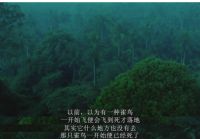 最佳影片《阿飞正传》可以去葫芦视频在线看