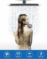 清明，这件事你要知道！