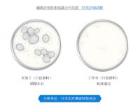 凡斯环保植物杀菌素消毒杀菌除甲醛效果测评