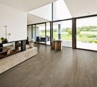 绿色未来，质领时代：世友“唯有灰”为家开启柔光滤镜