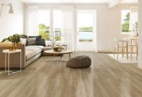 绿色未来，质领时代：世友“唯有灰”为家开启柔光滤镜