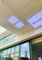 后疫情时期：舒适猫直播科技研发中心 助力全面复工