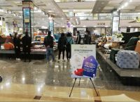 线上线下联动狂欢，罗浮宫“云逛街”引领置家新体验