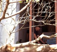 立达信「幸福来敲门」之老白：但愿我有一棵桫椤，配得上