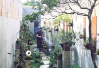 立达信「幸福来敲门」之老白：但愿我有一棵桫椤，配得上