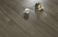 十二星座的家居指南之水象星座