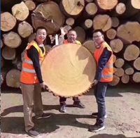 进口地板KRONOSWISS瑞士卢森   细节控打造实用与美观兼具