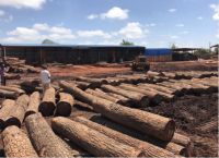 东家新中式美学，引领东方生活品味