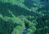 美的京东聚星闪耀日 美的空调让你轻松get舒适生活