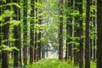 美的京东聚星闪耀日,美的空调免息、满减钜惠来袭