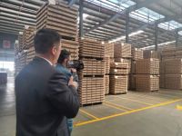 中城联盟走进莫干山地板，“云”观绿色工厂