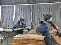 中城联盟走进莫干山地板，“云”观绿色工厂