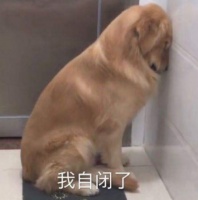 设计