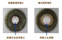 长颈鹿牌臻天然抗病毒无机矿物涂料强势出道！