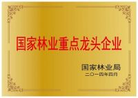行业新高度！巨宁地板全线实现E0环保标准
