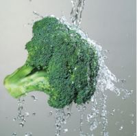 深层杀菌去农残 普乐美果蔬净化机护航饮食健康