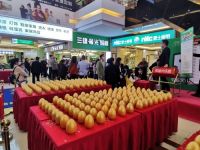 安居乐【51大乐透】千枚金蛋·十万奖池·百万电器