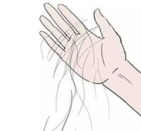 三分钟入门“插座”