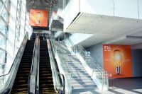 焦点2019 | 品牌建设全面发力 佛山照明焕发新活力