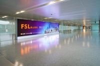 焦点2019 | 品牌建设全面发力 佛山照明焕发新活力