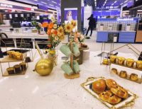 凯度蒸烤箱入驻苏宁中华第一店 “蒸烤新物种”惊艳亮相