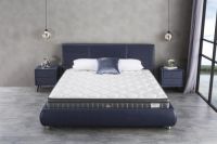 “金时代·新未来”美国金斯当床垫梅宾1904系列震撼发布！