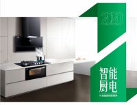 悦派掀起绿色厨房革命，邀您共创财富未来！