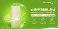 千年舟负离子净醛生态板，是您对抗甲醛除菌净味的好帮手！
