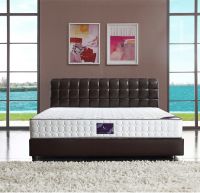 远离失眠困扰 智爱住宅家具堪称美梦缔造者