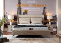 健康环保成寝具消费第一选择 美国伊丽丝护脊床垫再现销售