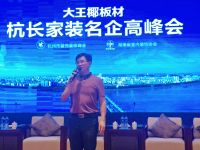 大王椰板材 杭长家装名企高峰会