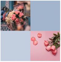 【YASLAN】520 ▏以爱之名 让爱不再等待