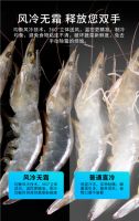 12期免息买冰箱？新品520L大容量小Biu对开门冰箱让新鲜生活触手可及