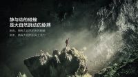 美的本源套系，重塑都市自然生活典范