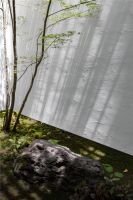 京都周末小屋