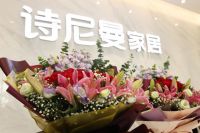 海清亲临诗尼曼直播间，诗尼曼17周年庆踏浪而来