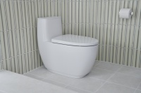 日本INAX伊奈卫浴S600连体马桶，营造舒适的如厕体验