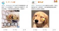 自如开了个话题，没想到竟引来180万毕业生句句戳心
