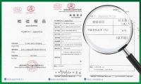 大王椰金日昂：聚焦无醛“呵护”，双款新品赋能健康家庭