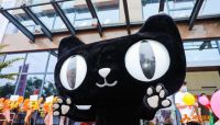 重磅 | 昆明红星美凯龙·生活美学中心引入阿里体育