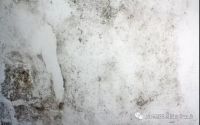 漫漫黄梅季，汉麻来拯救！