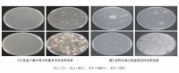 为什么说火鸡消毒刀架是品类的开创者
