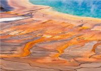 设计师工厂行：莫干山地板，让空间、色彩、设计回归本真