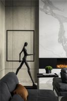 2020「酷+创造营」先锋设计师选拔-杨帆-水墨清华别墅